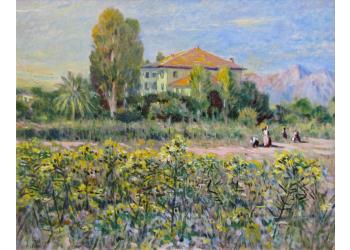 CAMPAGNA DI VERSILIA CAMPAGNA DI VERSILIA